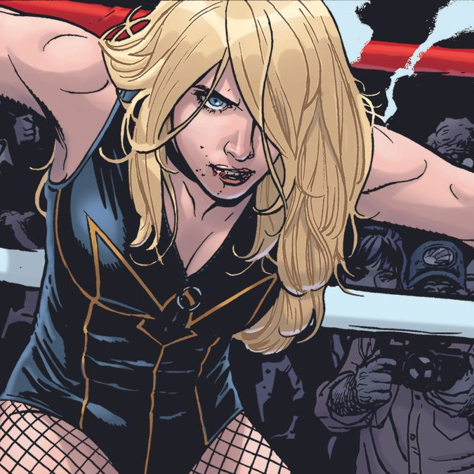 Black Canary Takes on The DC Universe in Best of the Best!
