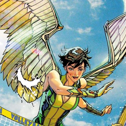 Hawk-Girl Summer Stars Some Of DC's Biggest Bombshells