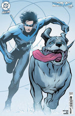 NIGHTWING #124 CVR C GLEB MELNIKOV CARD STOCK VAR thumbnail