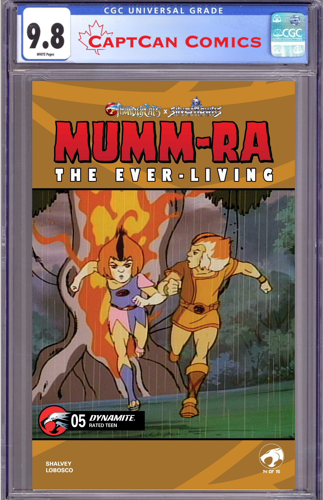 MUMM RA THE EVER LIVING #5 CVR E ANIMATION ART VAR
