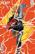 ABSOLUTE FLASH #3 CVR B HAINING CARD STOCK VAR thumbnail