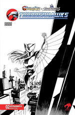 THUNDERCATS X SILVERHAWKS THUNDERHAWKS #2 CVR K DECLAN SHALVEY LINE ART VAR thumbnail