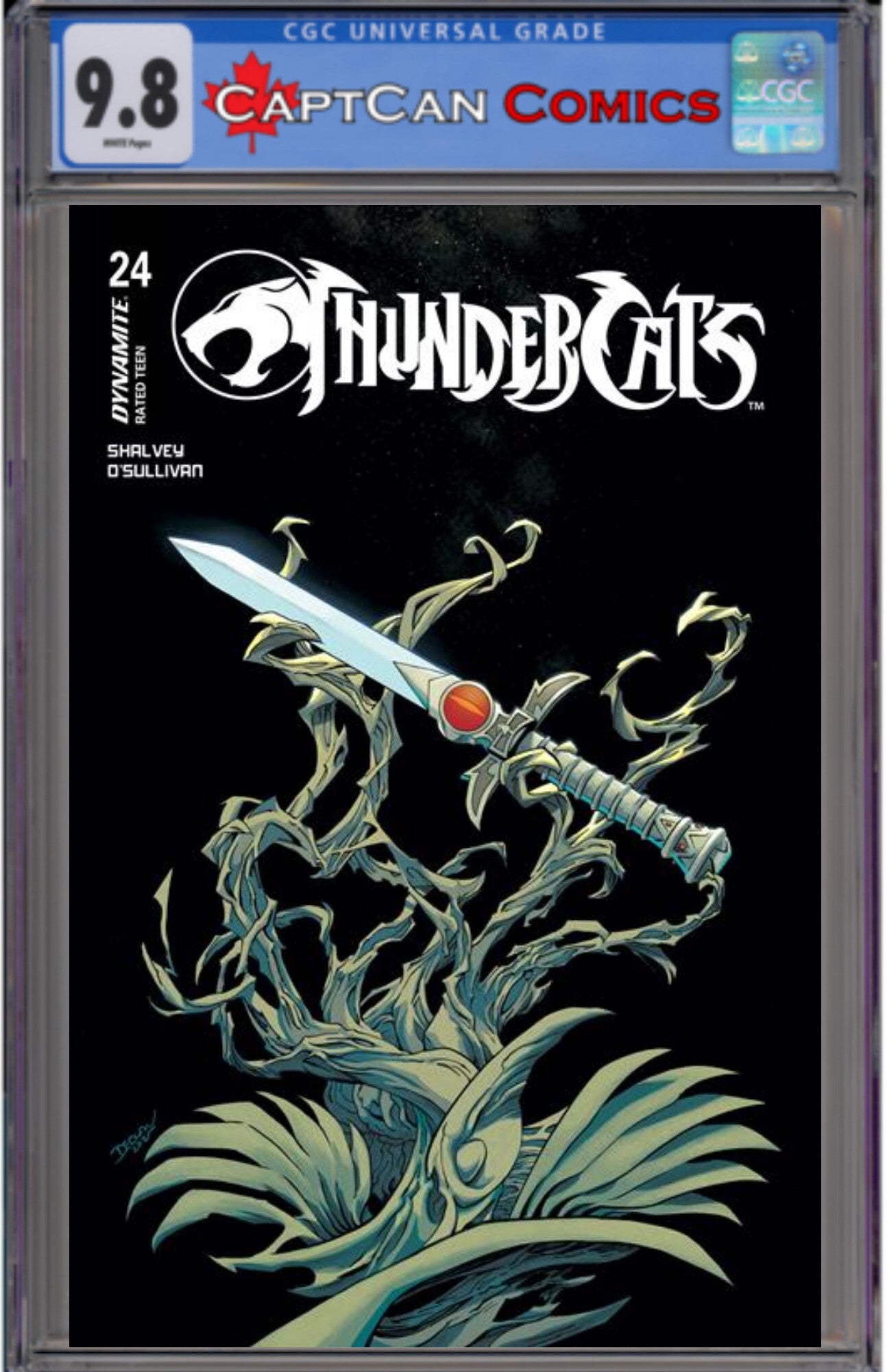 THUNDERCATS #24 CVR B DECLAN SHALVEY VAR