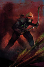ABSOLUTE GREEN ARROW #4 (OF 6) CVR B MARTIN SIMMONDS CARD STOCK VAR thumbnail