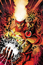 FURY OF FIRESTORM #5 (OF 8) CVR B DENYS COWAN & JEFF LEMIRE CARD STOCK VAR thumbnail