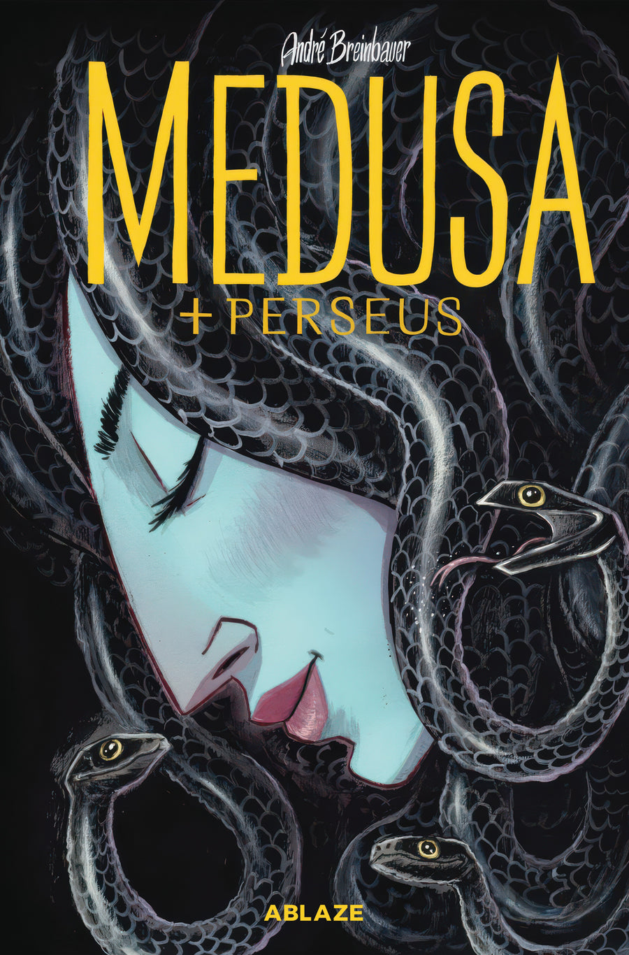 MEDUSA & PERSEUS HC (MR) PREVIOUSLY SOLICITED THROUGH DIAMOND, BUT NEVER FULFILLED.