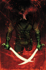 ABSOLUTE GREEN ARROW #5 (OF 6) CVR C SEBASTIAN FIUMARA CARD STOCK VAR thumbnail