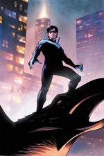 NIGHTWING #142 CVR B JEROME OPENA CARD STOCK VAR (BATMAN BAD SEEDS) thumbnail