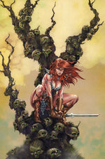 RED SONJA SHE DEVIL WITH A SWORD #5 CVR I INC1:10 MIKE ROOTH VIRGIN VAR thumbnail