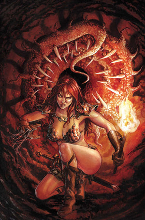 Red Sonja She Devil With a Sword #6 Rooth Virgin Incentive Variant