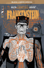 UNIVERSAL MONSTERS FRANKENSTEIN B&W SPECIAL #1 (OF 2) CVR A MICHAEL WALSH thumbnail