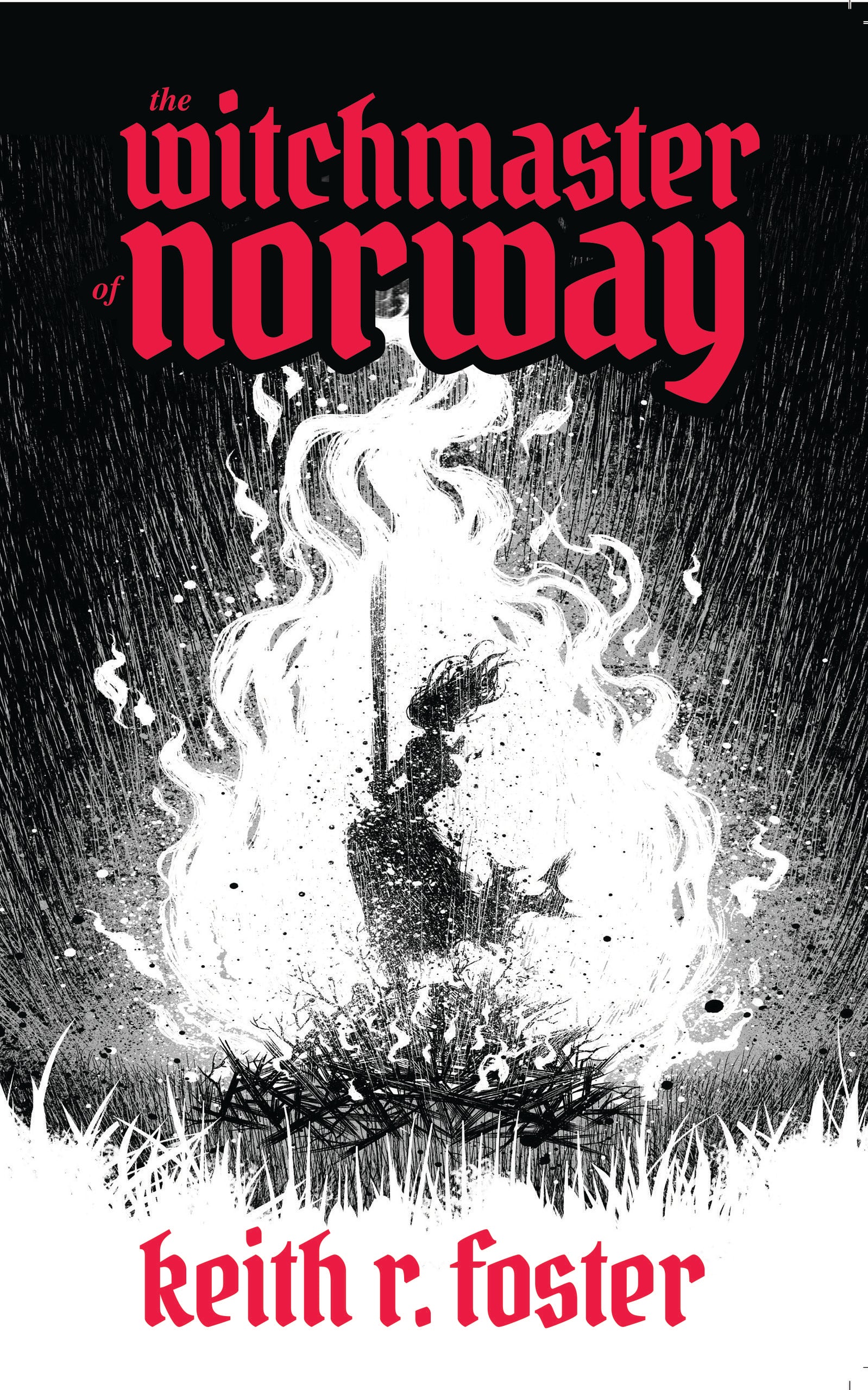 WITCHMASTER OF NORWAY TP AN ILLUSTRATED NOVEL