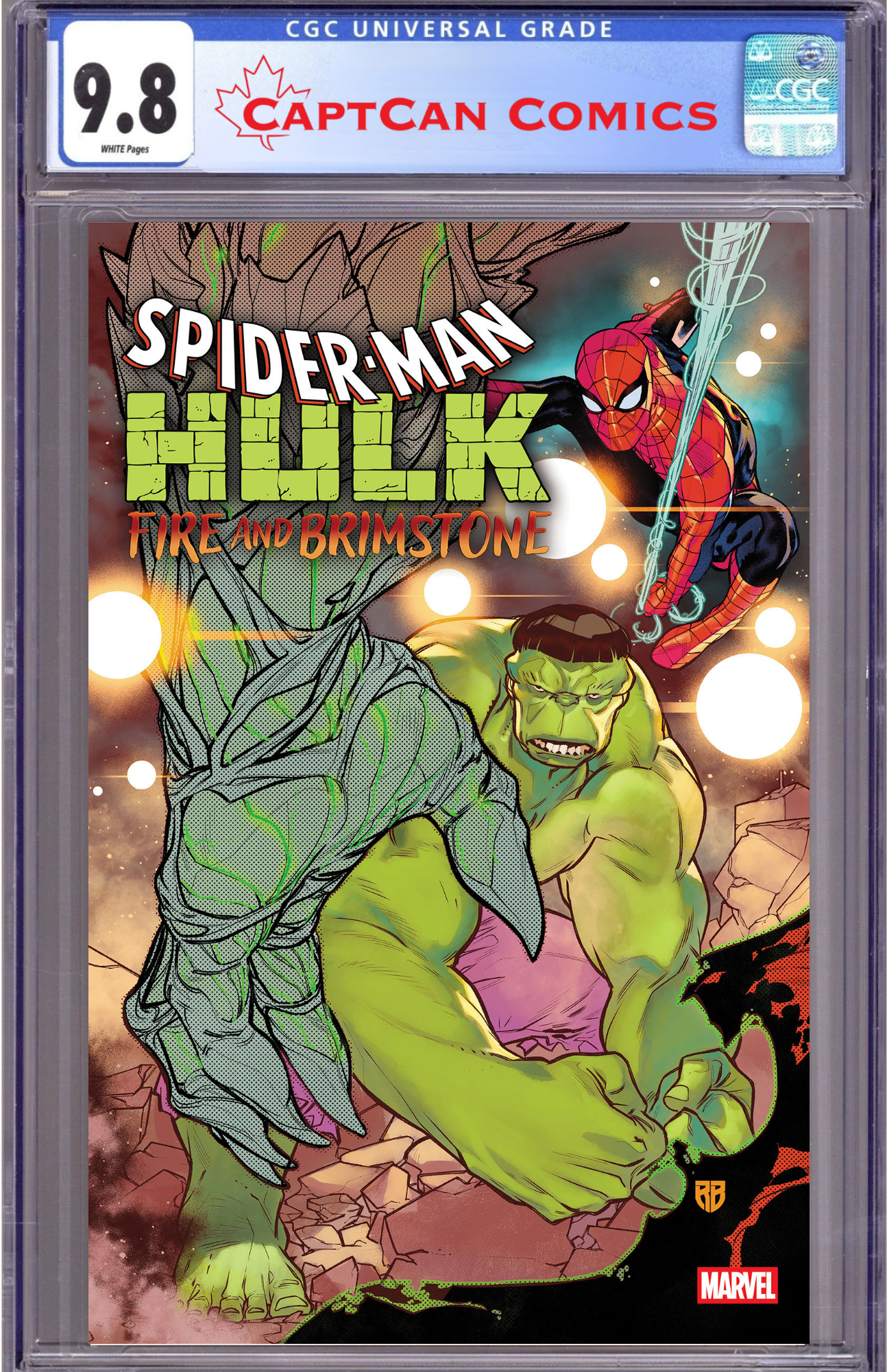 SPIDER-MAN/HULK: FIRE AND BRIMSTONE #5