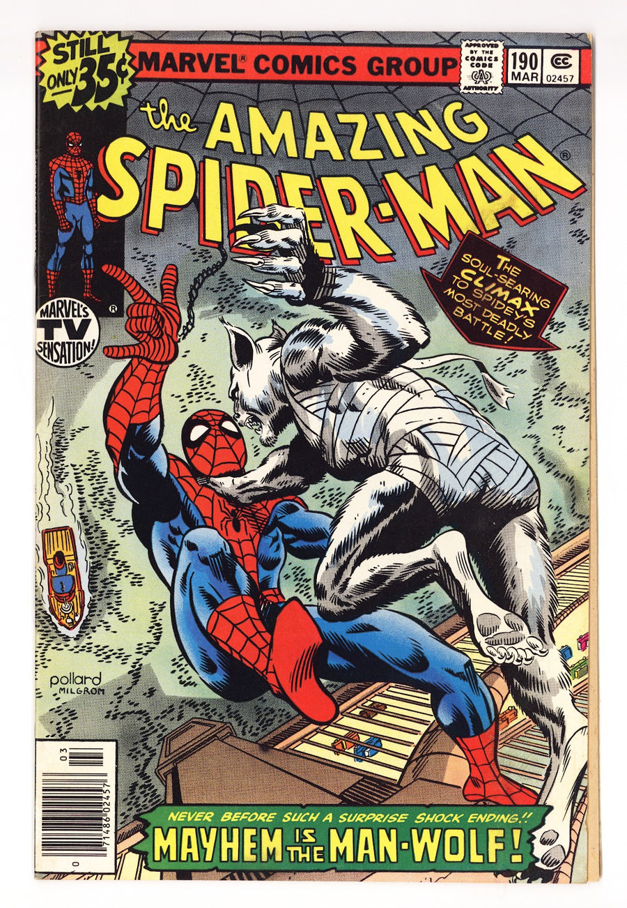 The Amazing Spider-Man Vol 1 190  FN+ (6.5)   (1979)