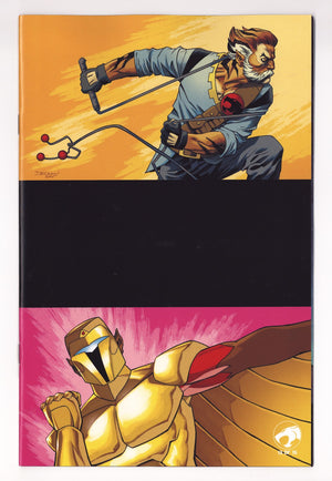 Thundercats X Silverhawks  5 Shalvey  Virgin Incentive NM (9.4) NM (9.4) (2026)