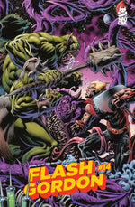 FLASH GORDON #14 CVR B KYLE HOTZ VAR thumbnail