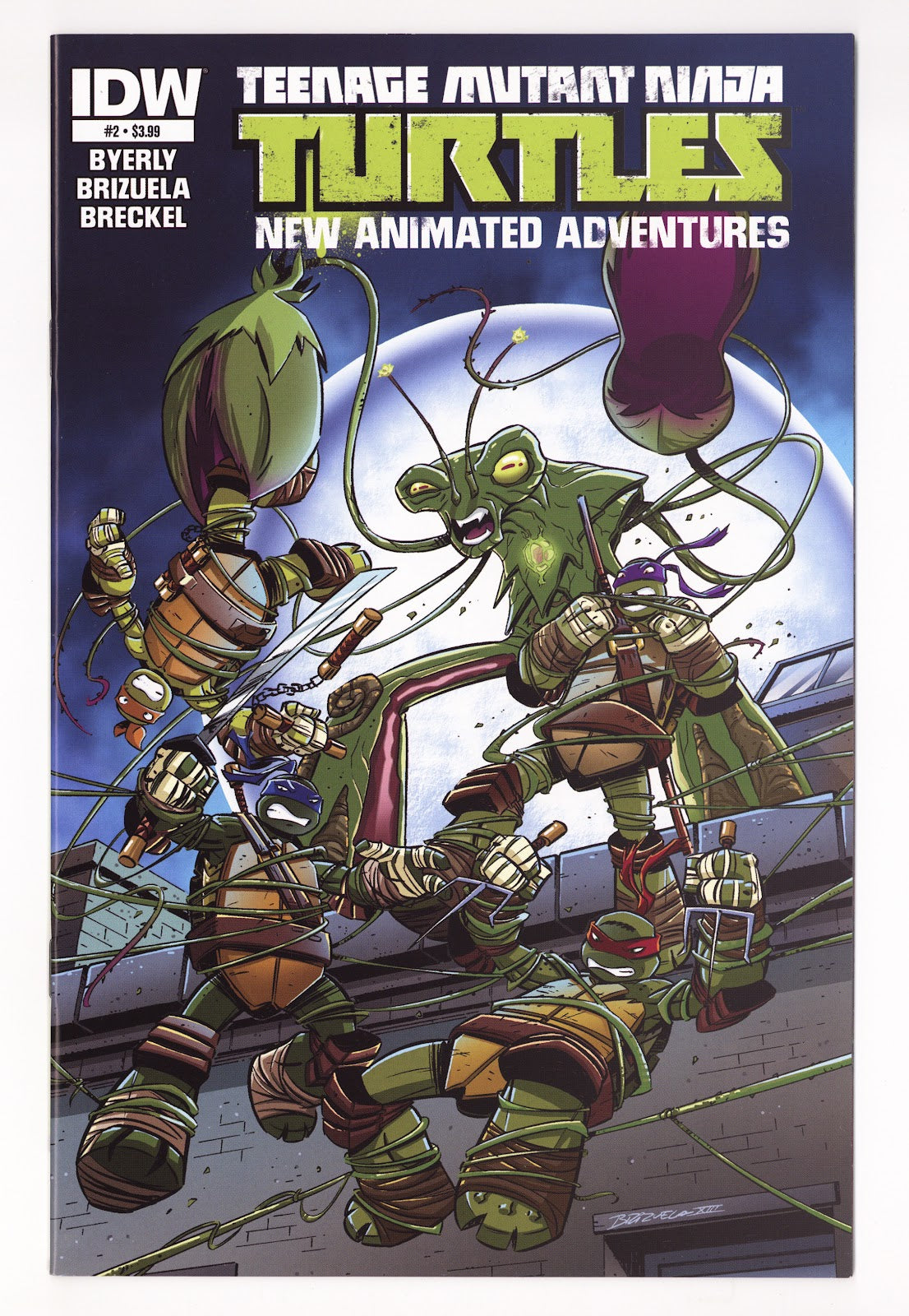 Teenage Mutant Ninja Turtles New Animated Adventures 2 High Grade (2013) 