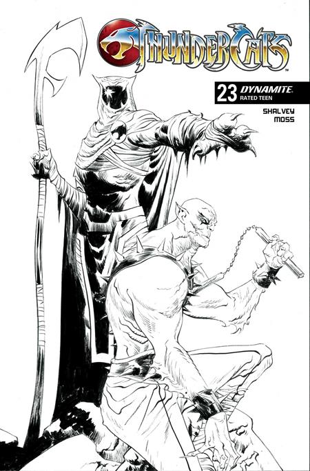 THUNDERCATS #23 CVR M JAE LEE LINE ART FOC BONUS VAR