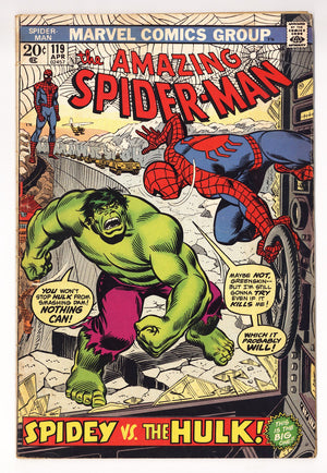 The Amazing Spider-Man Vol 1 119  VG+ (4.5)   (1973)