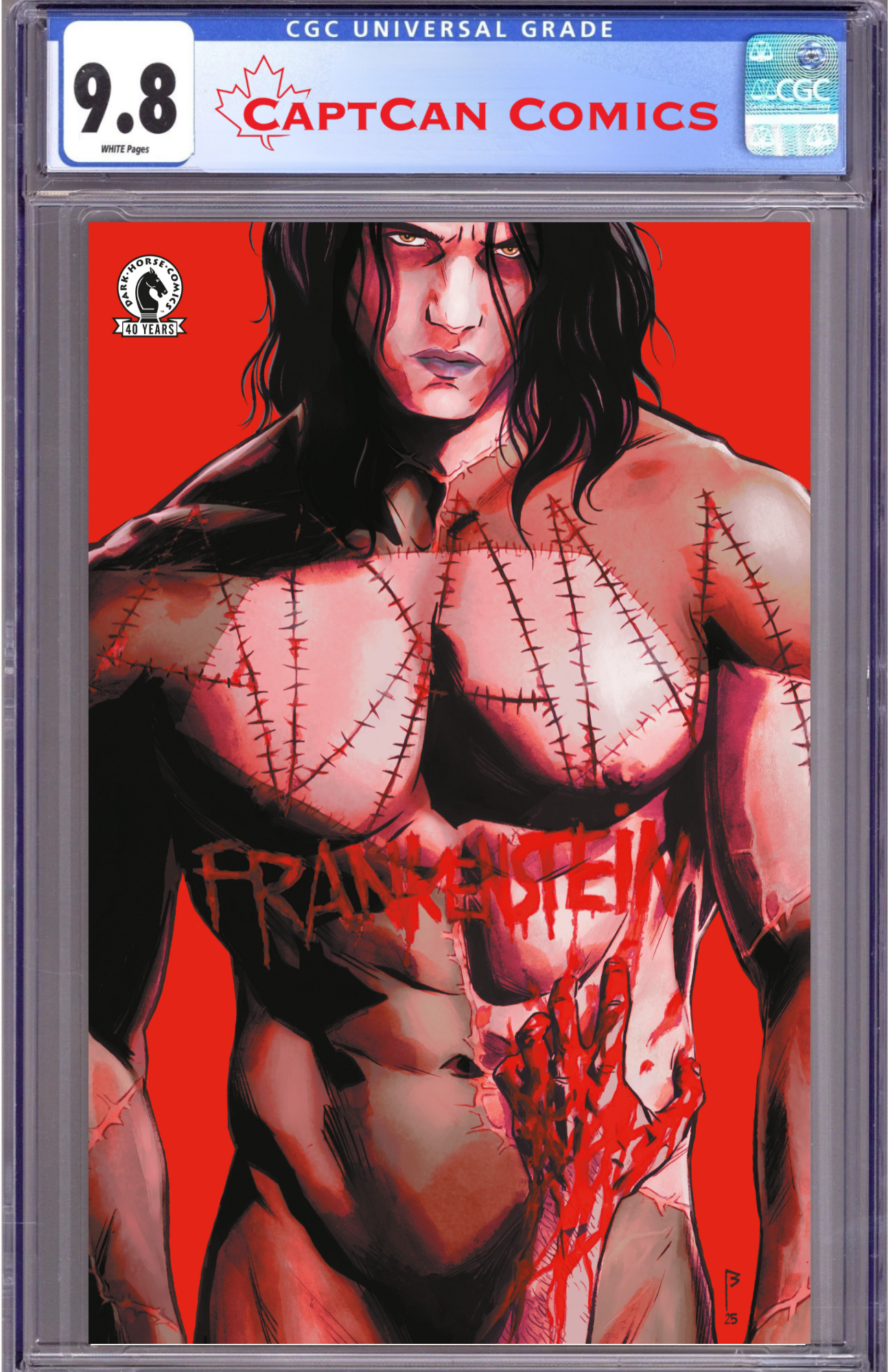 THE PERFECTLY MONSTROUS LIFE OF ADAM FRANKENSTEIN ONE-SHOT (CVR C) (FERNANDO BLANCO)