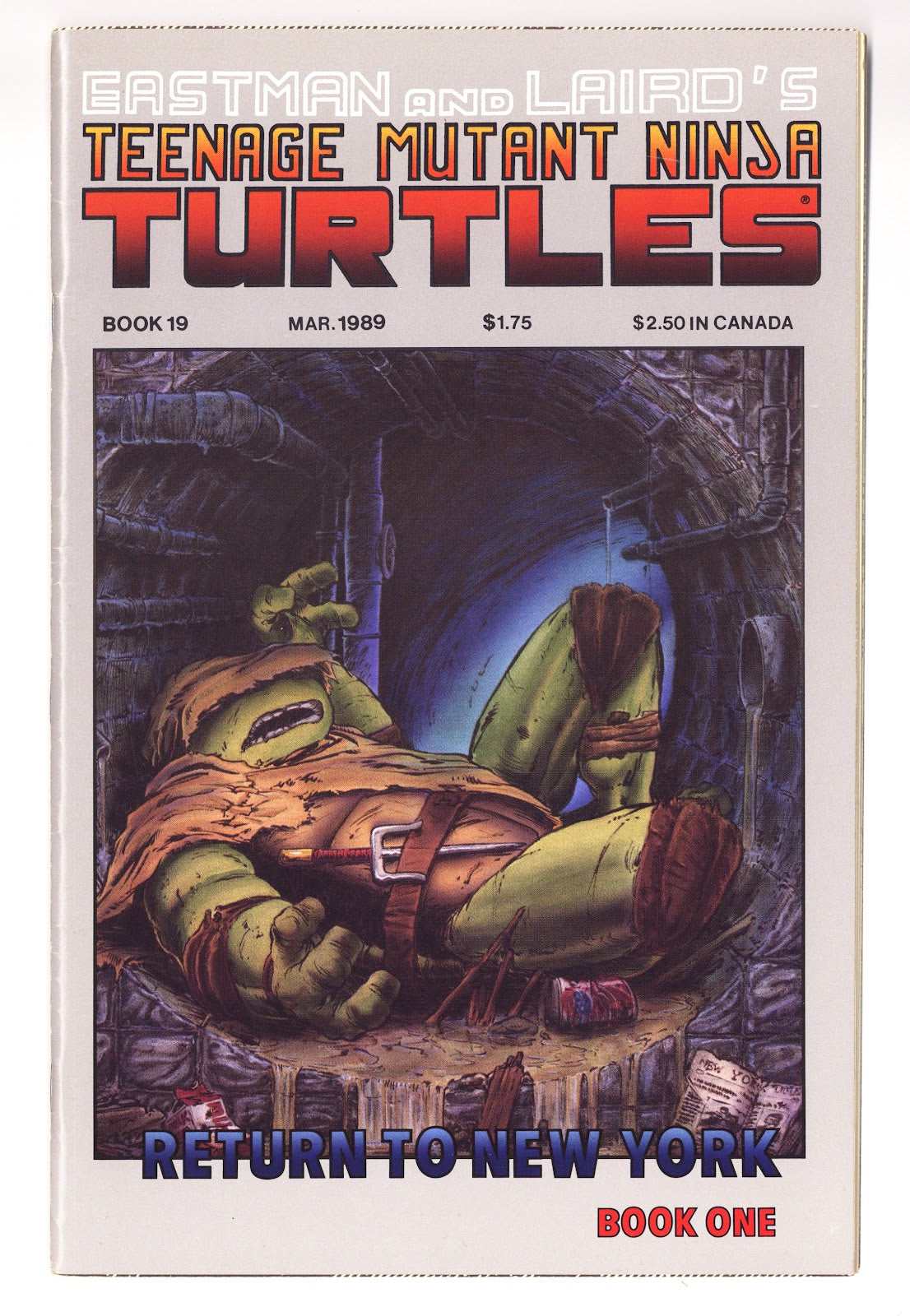 Teenage Mutant Ninja Turtles Vol 1 19  VF- (7.5)   (1989)     