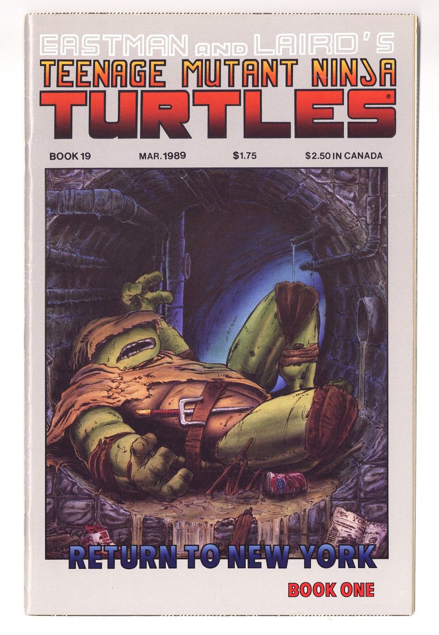 Teenage Mutant Ninja Turtles Vol 1 19  VF- (7.5)   (1989)     