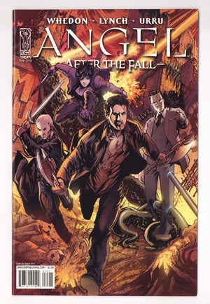 Angel: After the Fall   15  High Grade   (2008) Urru   Variant
