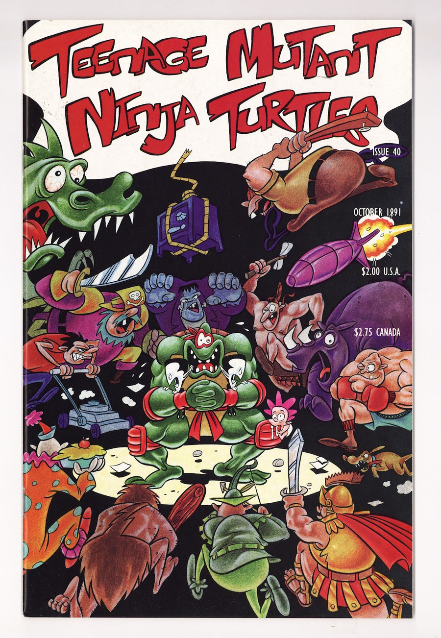 Teenage Mutant Ninja Turtles Vol 1 40  VF/NM (9.0)   (1991)     
