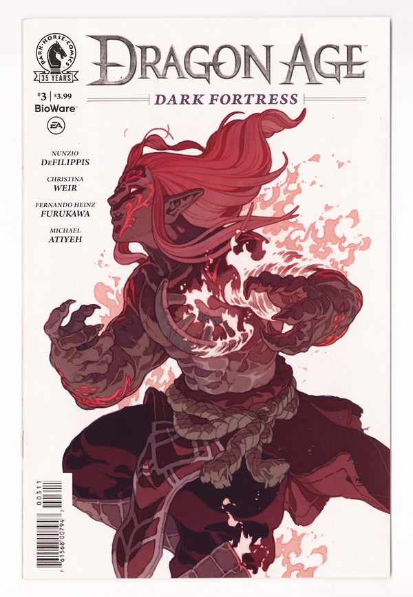 Dragon Age: Dark Fortress   3  High Grade   (2021)