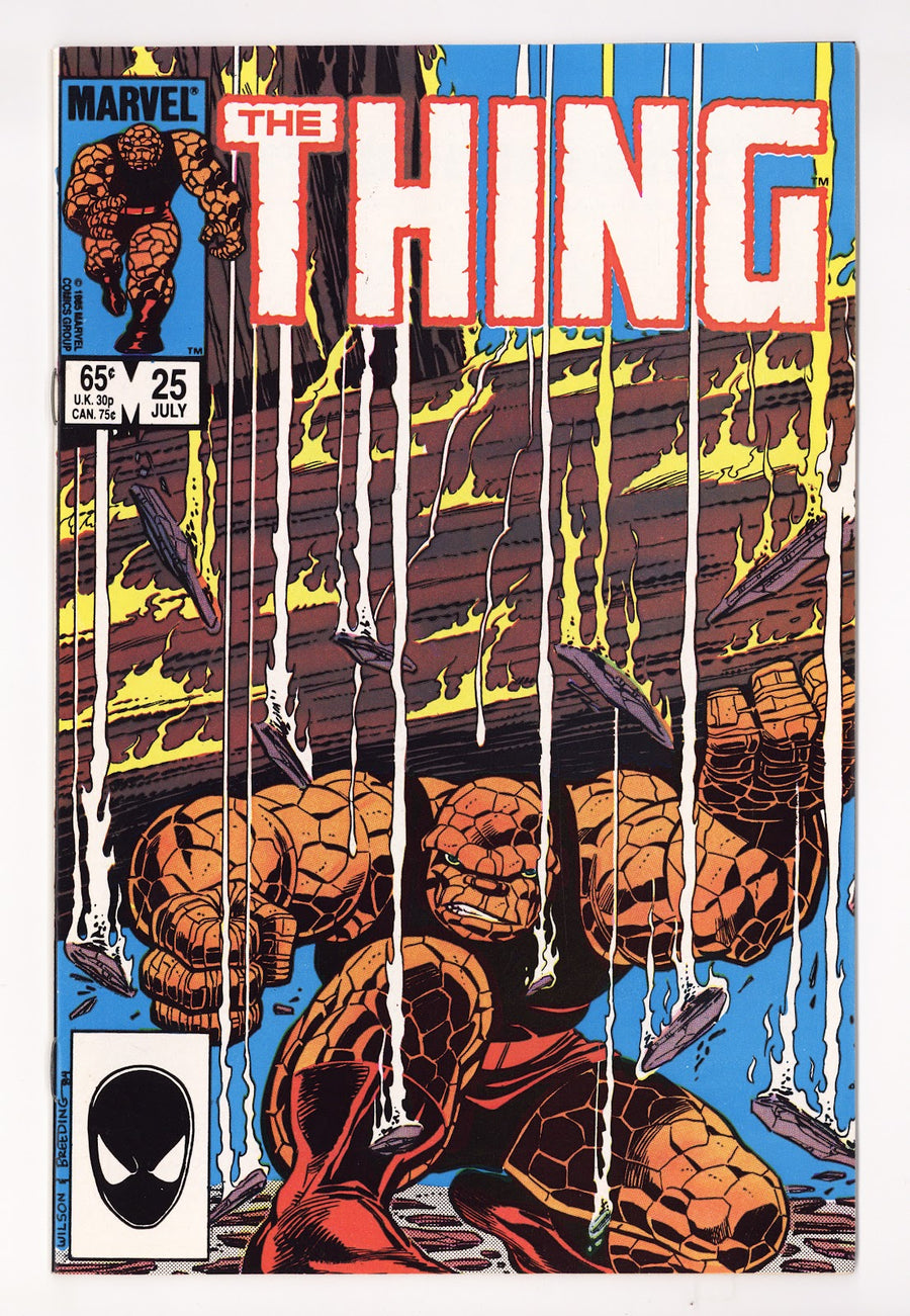 The Thing Vol 1 25 High Grade (1985) Direct 