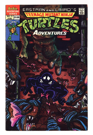 Teenage Mutant Ninja Turtles Adventures Vol 2 11  Low Grade   (1990)   3rd Print