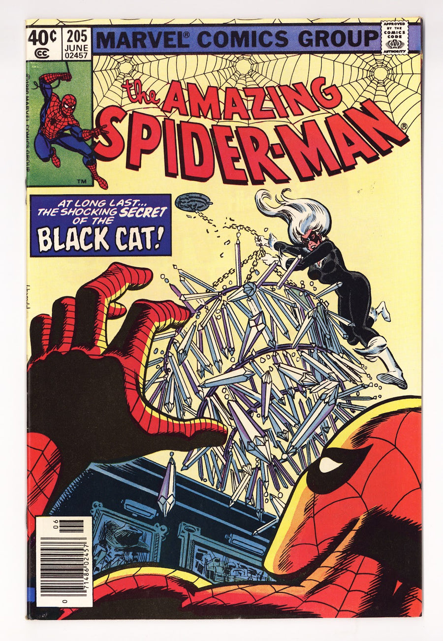 The Amazing Spider-Man Vol 1 205  VF (8.0)   (1980)   Newsstand