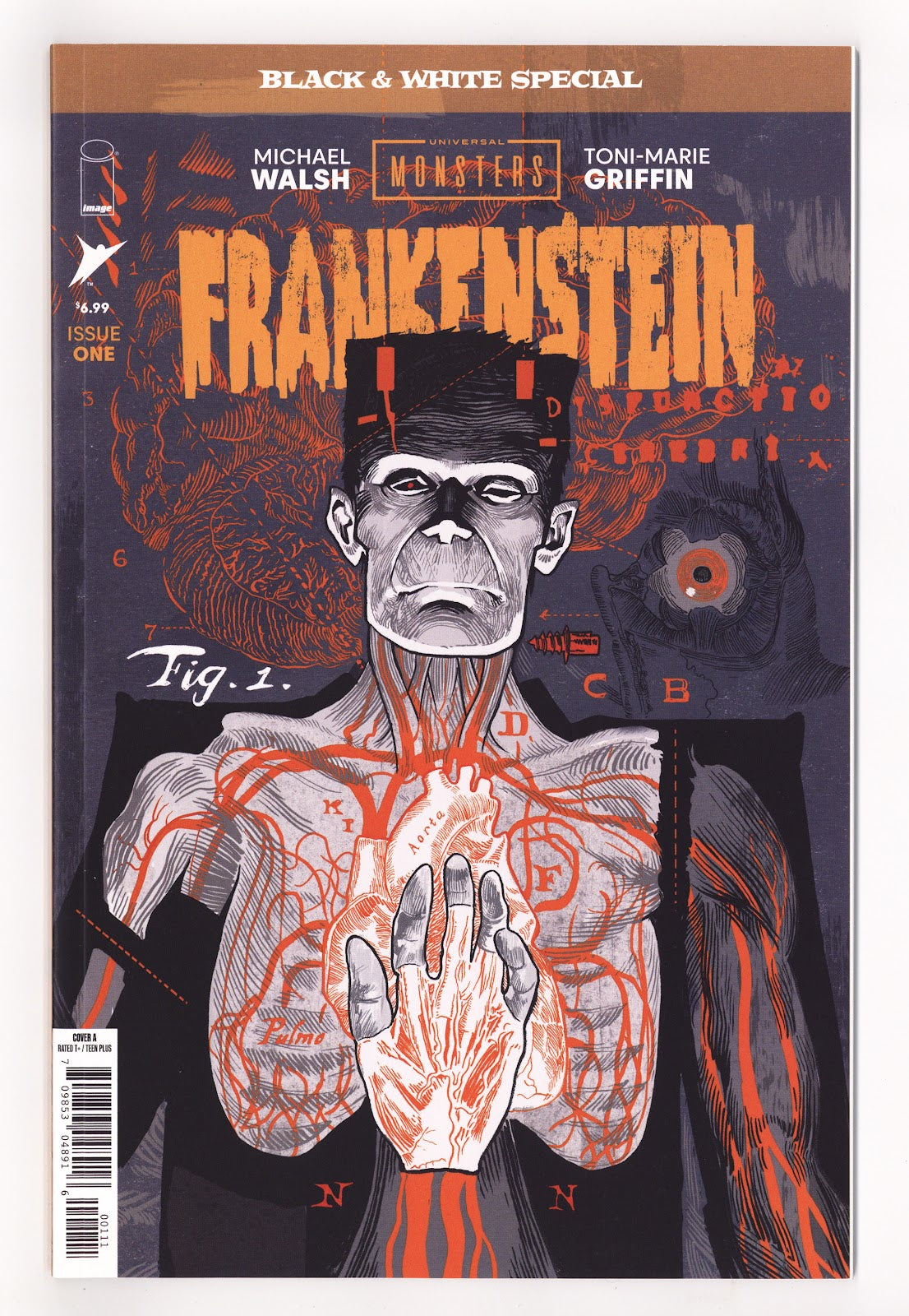 Universal Monsters Frankenstein B&w Special #1 Walsh
