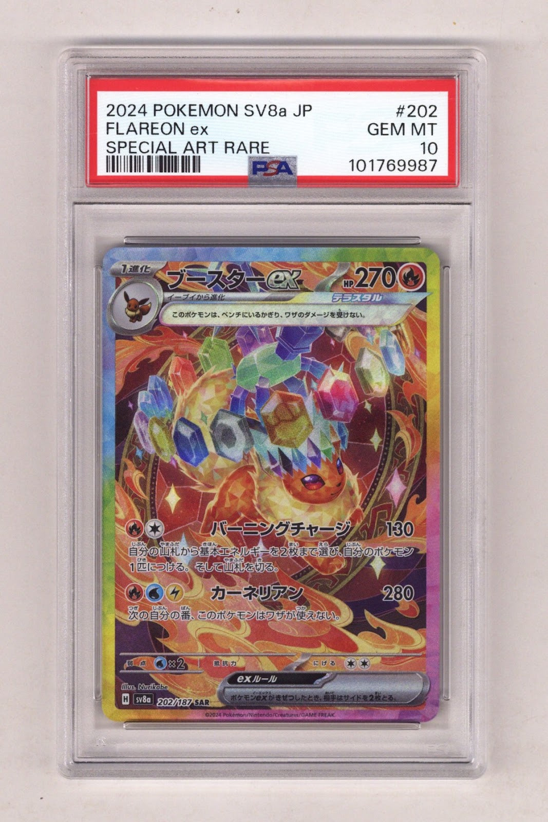 Pokemon Terastal Festival Ex Flareon Ex PSA 10 (2024) | CaptCan Comics