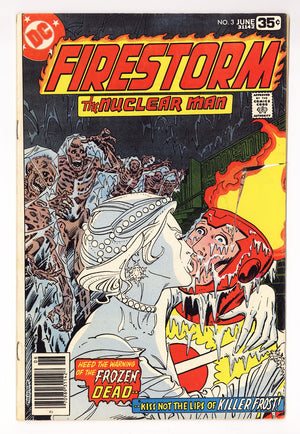 Firestorm Vol 1 3  Very Low Grade   (1978)