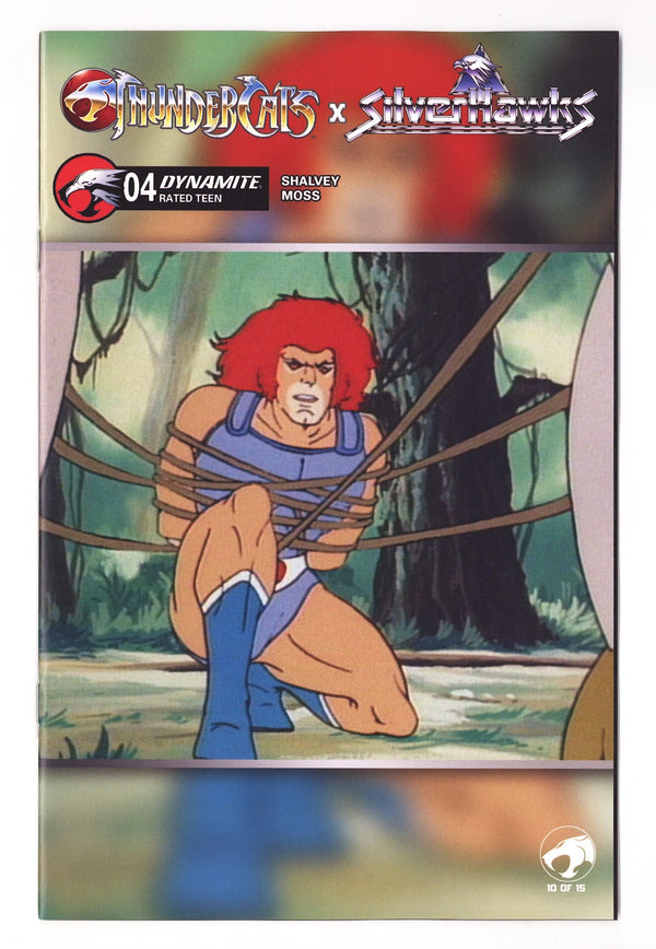 Thundercats X Silverhawks  4   Variant   (2026)