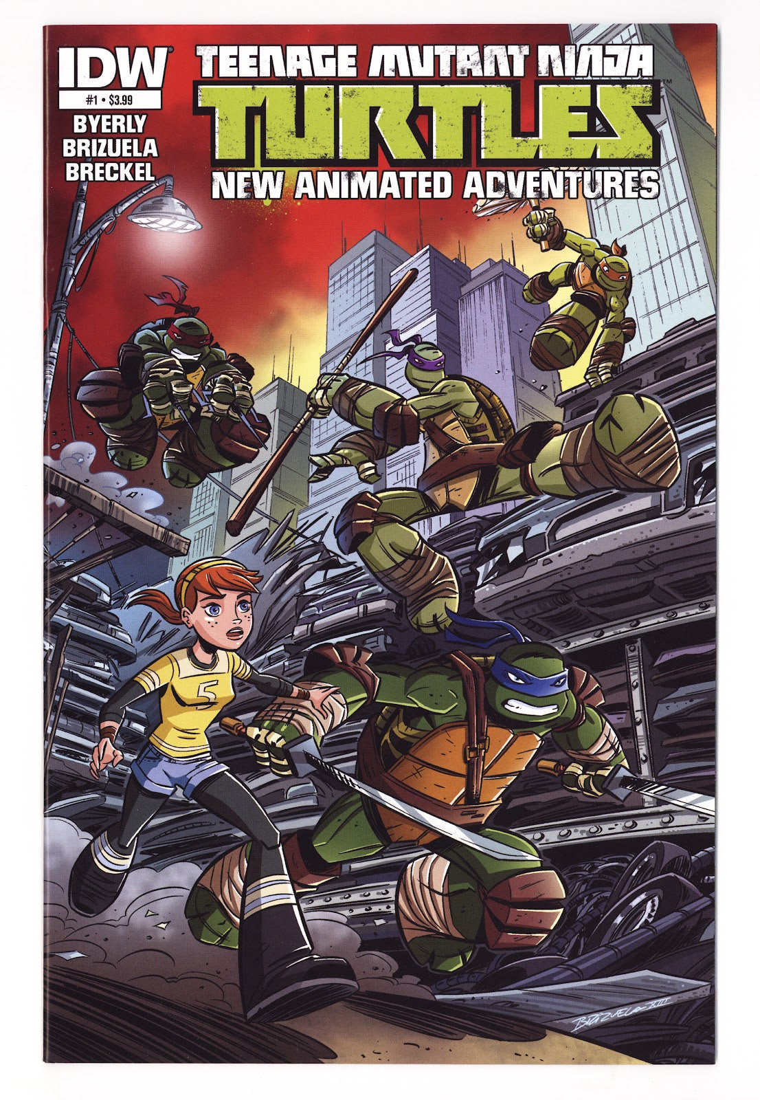 Teenage Mutant Ninja Turtles New Animated Adventures 1 High Grade (2013) 