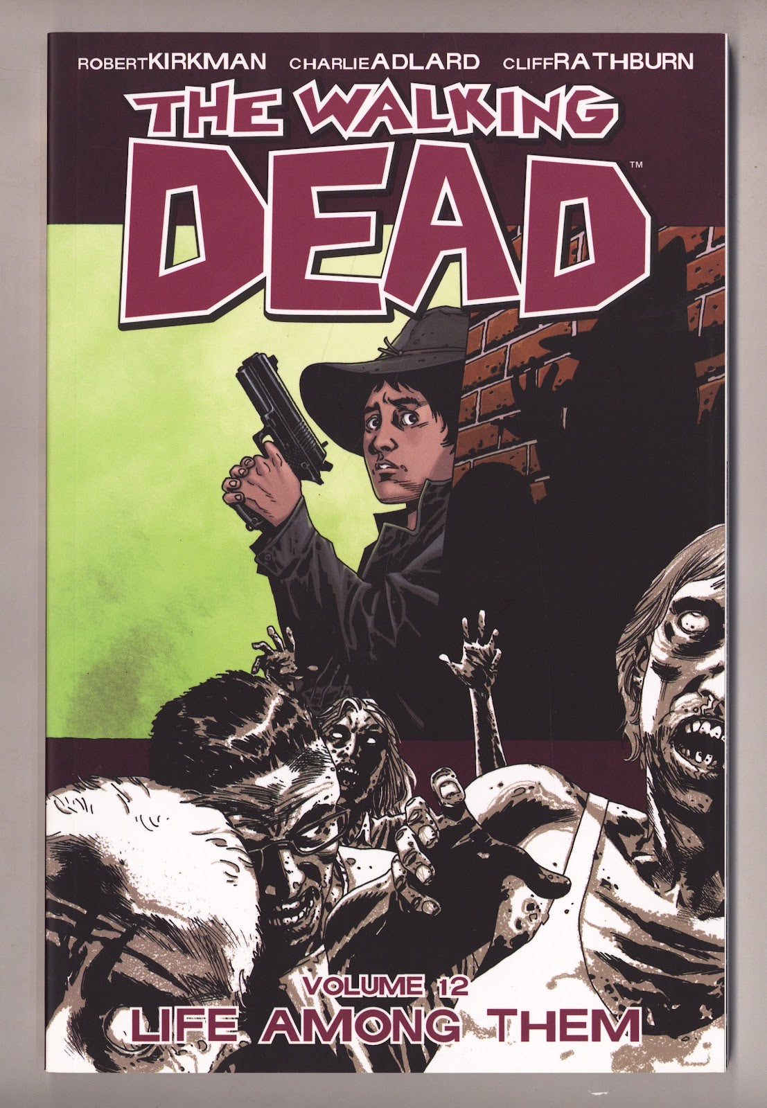 The Walking Dead TPB Vol 12 High Grade Life Among Them (2010) 2nd Print 