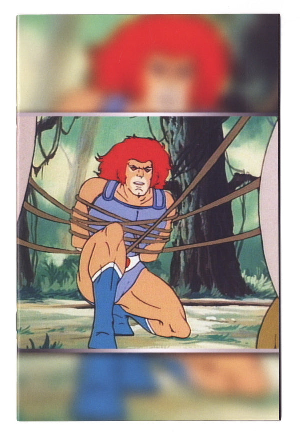 Thundercats X Silverhawks  4   Virgin Incentive   (2026)
