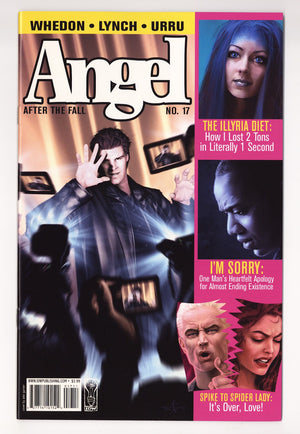 Angel: After the Fall   17  High Grade   (2009)