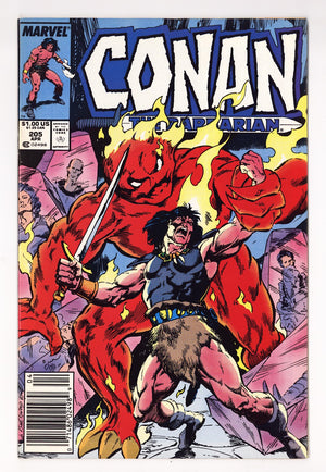 Conan the Barbarian Vol 1 205  Mid Grade   (1988)   Newsstand