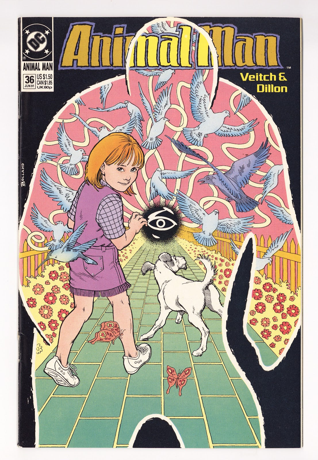 Animal Man Vol 1 36 High Grade (1991) 