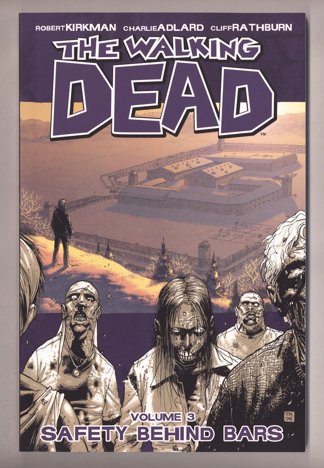 The Walking Dead TPB Vol 3 Mid Grade Safety Behind Bars (2009) 5th Print 