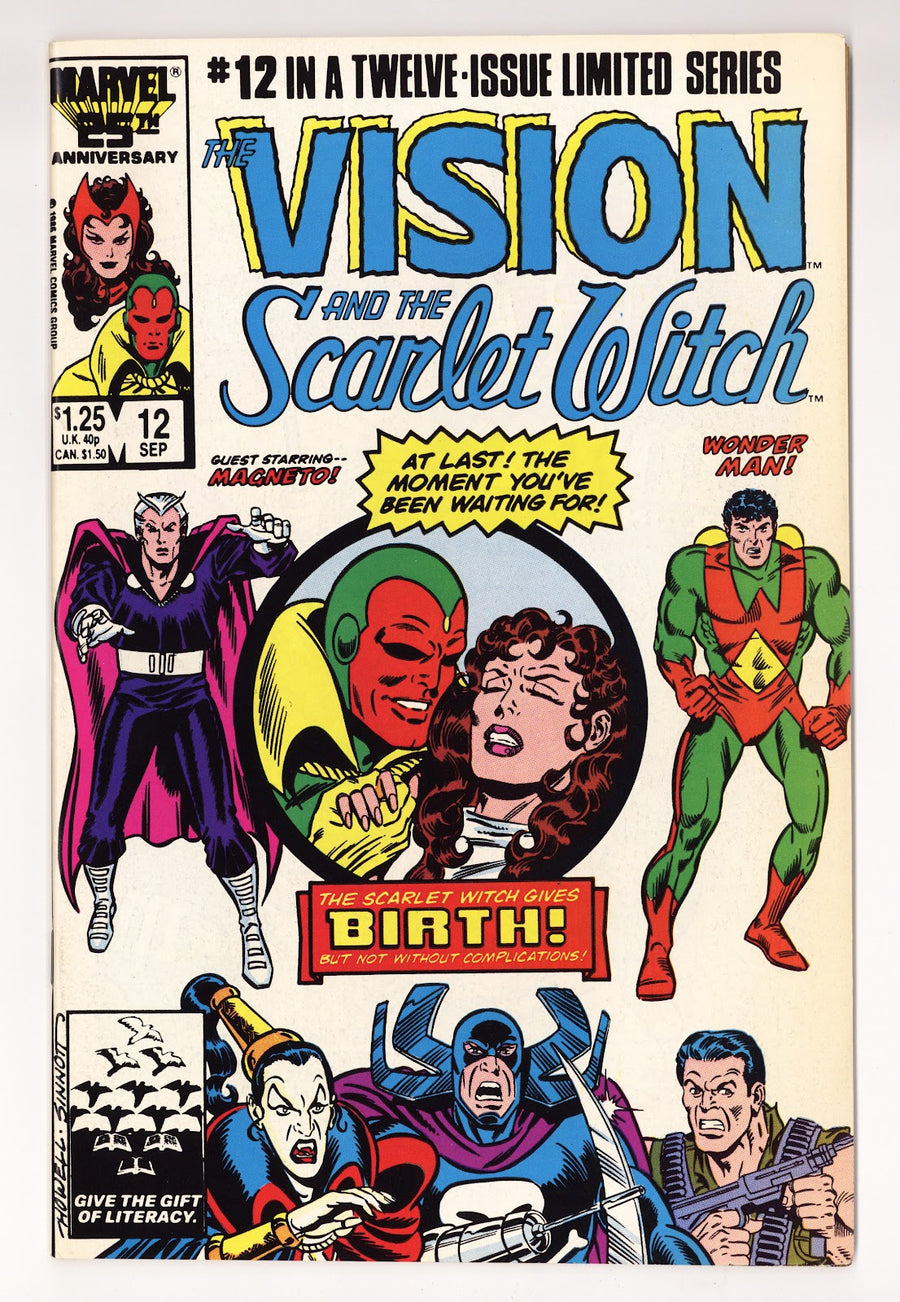 The Vision and the Scarlet Witch Vol 2 12  VF- (7.5)   (1986)