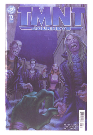 TMNT: Journeys Vol 2 12 Foil Incentive NM- (9.2) NM- (9.2) (2026)
