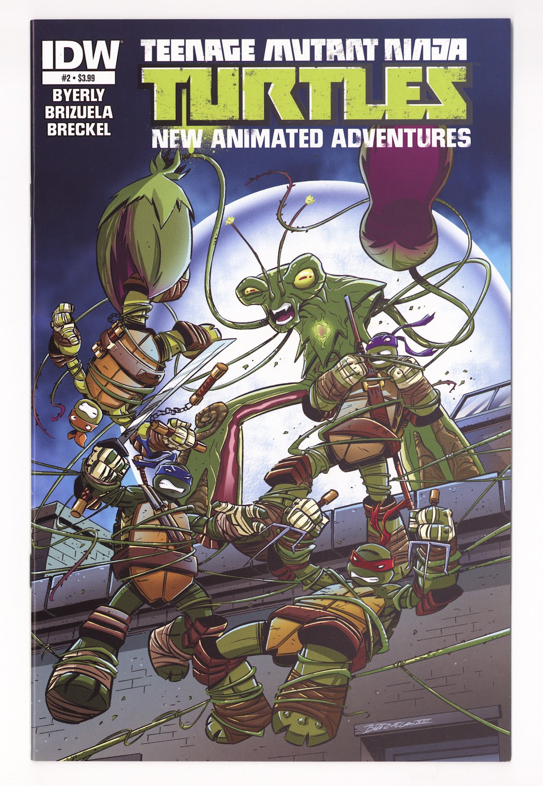 Teenage Mutant Ninja Turtles New Animated Adventures 2 Mid Grade (2013) 
