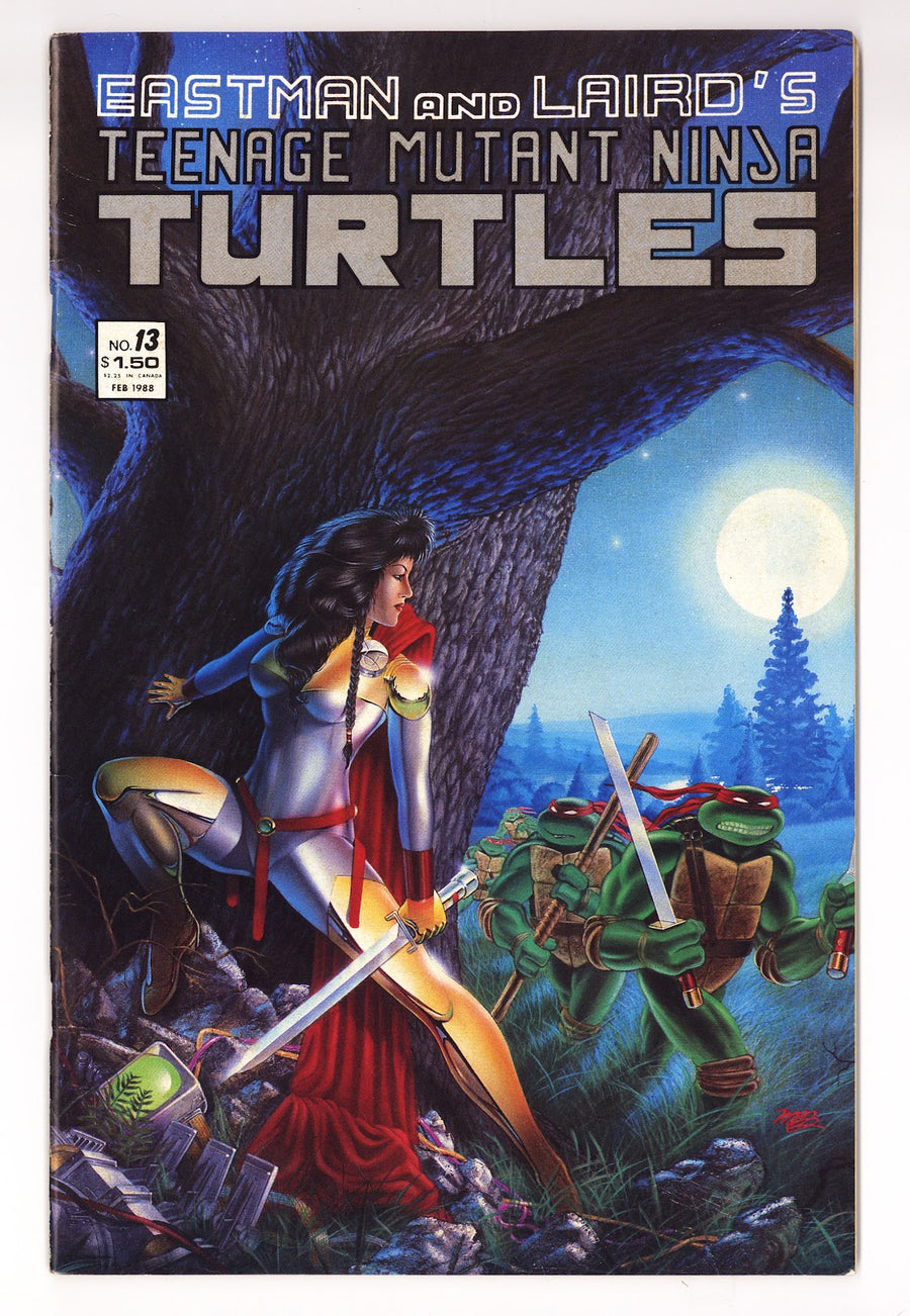 Teenage Mutant Ninja Turtles Vol 1 13  FN (6.0)   ()     