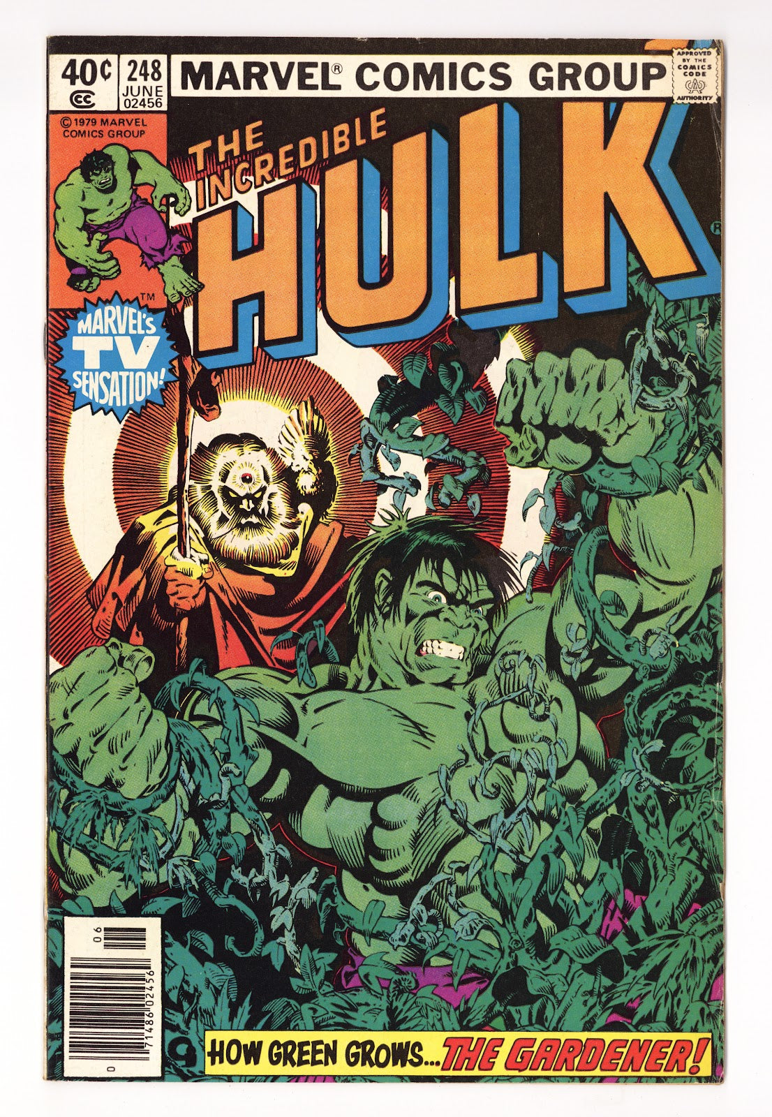 The Incredible Hulk Vol 1 248  Low Grade   (1980)   Newsstand  