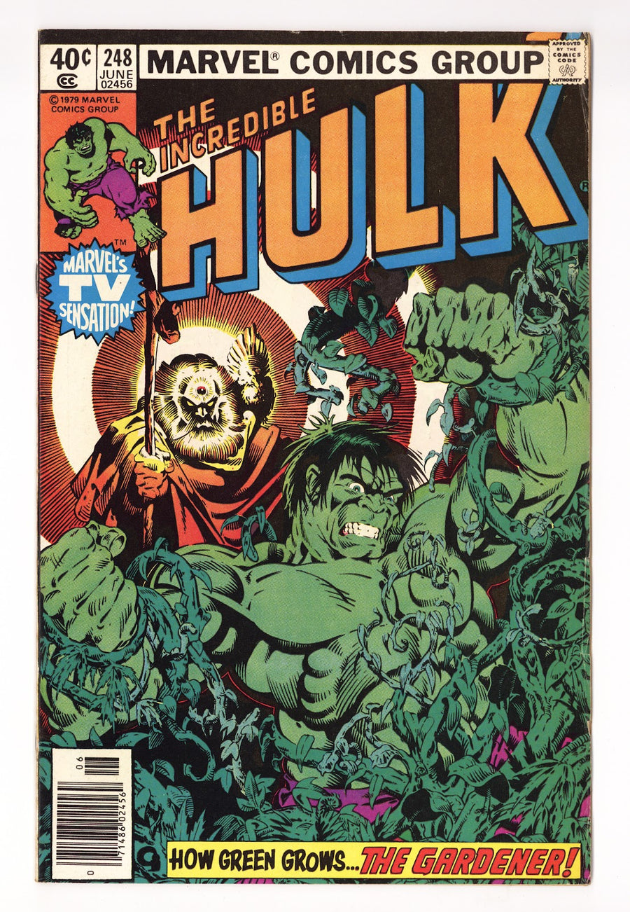 The Incredible Hulk Vol 1 248  Low Grade   (1980)   Newsstand  
