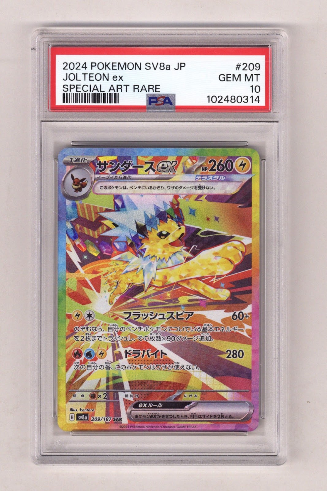 Pokemon Terastal Festival Ex Jolteon Ex PSA 10 (2024) | CaptCan Comics